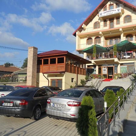 Pensiunea Cristal Tulcea Extérieur photo