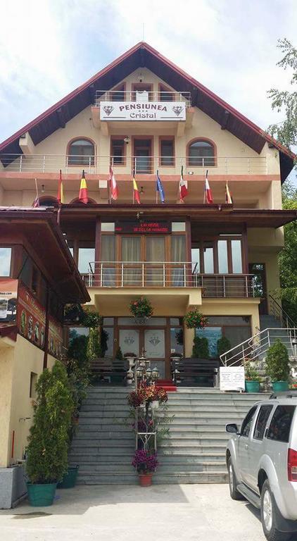 Pensiunea Cristal Tulcea Extérieur photo